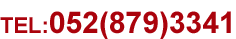 TEL052(879)3341